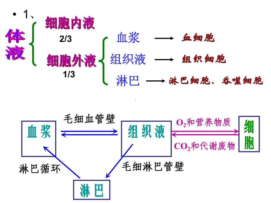 高中生物总复习必修三《稳态与环境》课件.ppt_第2页