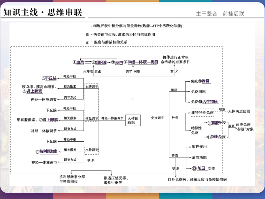 高考生物第四单元专题二-人体的内环境与稳态-课件.pptx_第2页