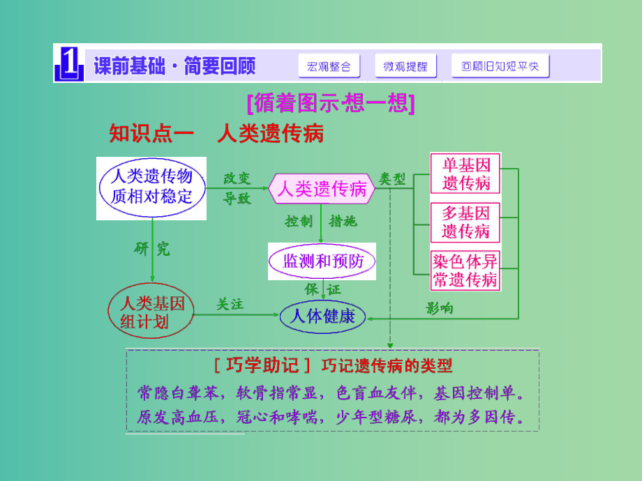 高考生物一轮复习-第三单元-第3讲-人类遗传病与生物育种课件-新人教版必修2.ppt_第2页