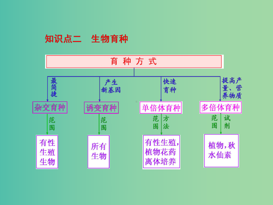 高考生物一轮复习-第三单元-第3讲-人类遗传病与生物育种课件-新人教版必修2.ppt_第3页