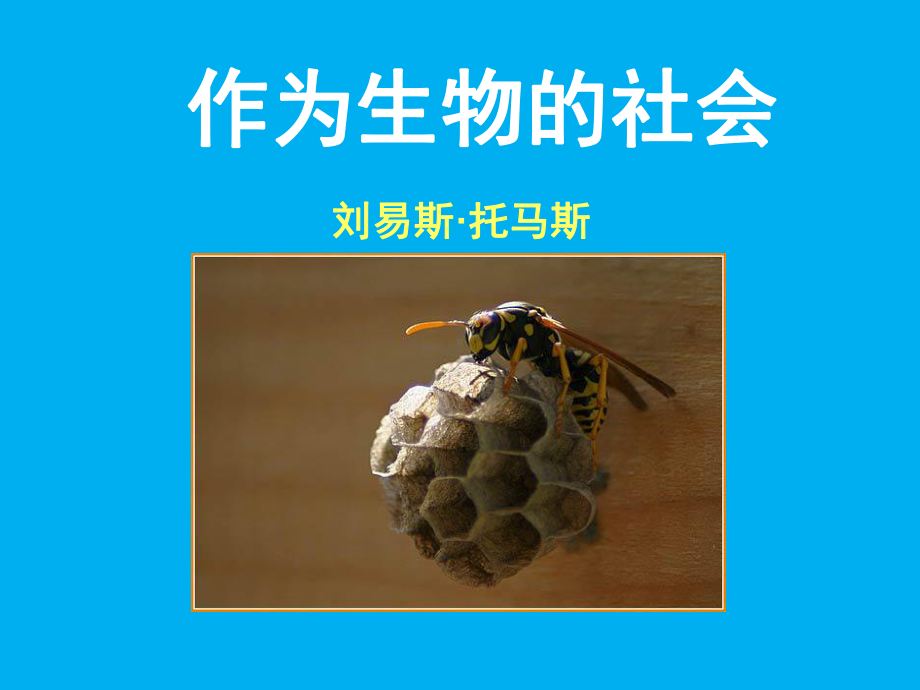 作为生物的社会(用)教学-课件.ppt_第2页