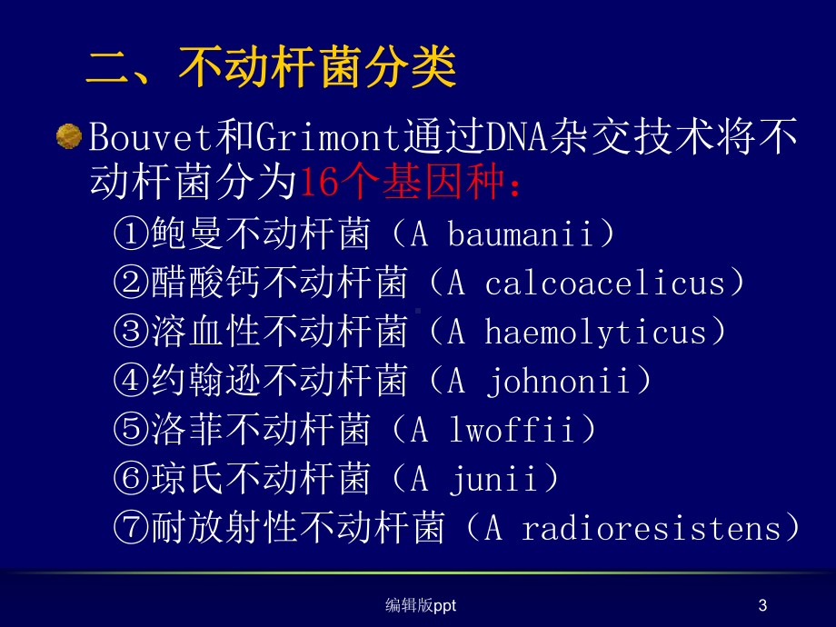 鲍曼不动课件-002.ppt_第3页