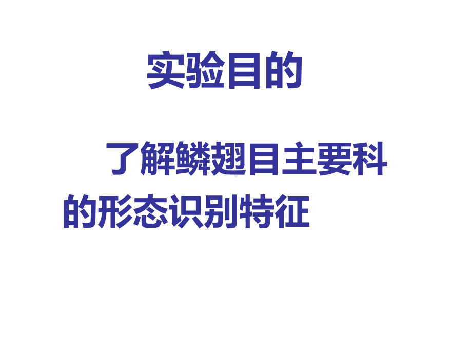 鳞翅目主要科的特征课件.ppt_第2页