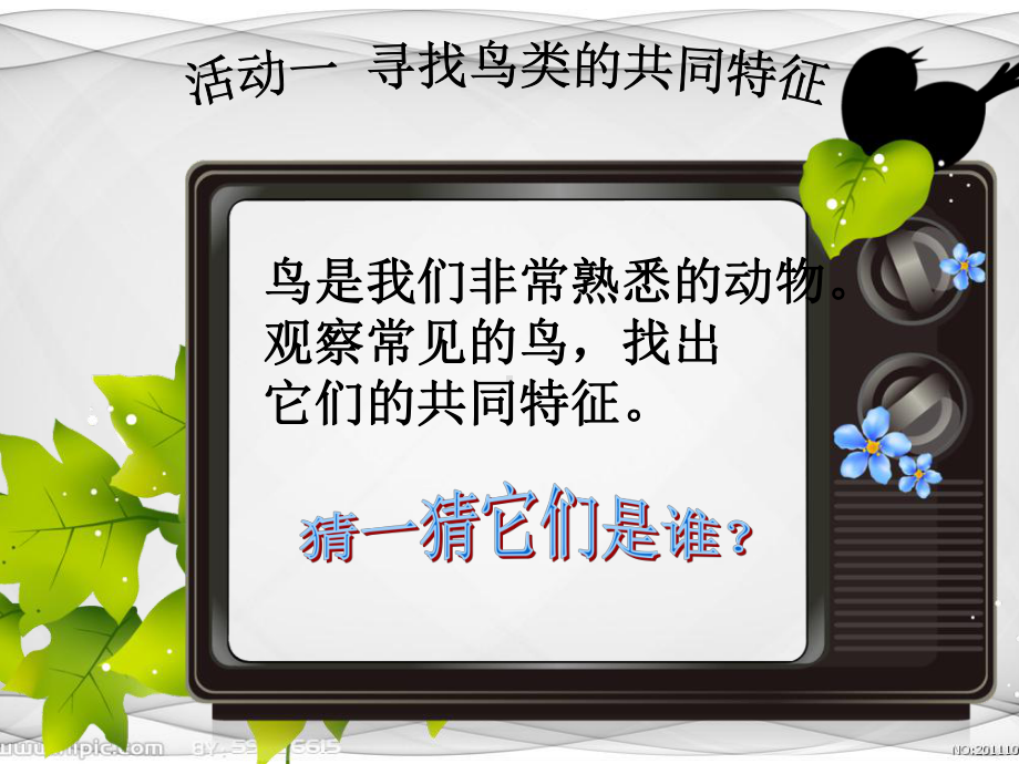 鸟类动物的特征资料课件.ppt_第2页