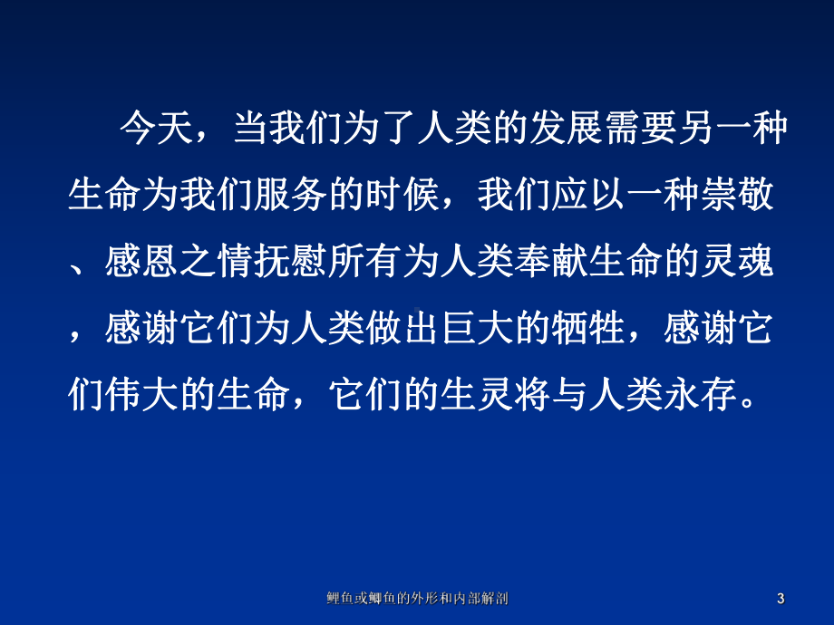 鲤鱼或鲫鱼的外形和内部解剖培训课件.ppt_第3页