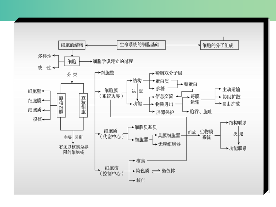 高考生物二轮复习-专题讲练-第5单元-生命活动的调节-9-人与脊椎动物的稳态和调节课件.ppt_第3页