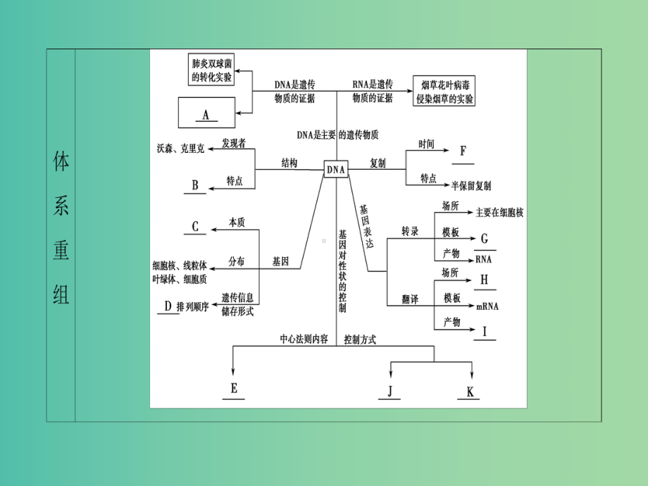 高考生物二轮复习-第1部分-专题4-第1讲-遗传的分子基础课件.ppt_第3页