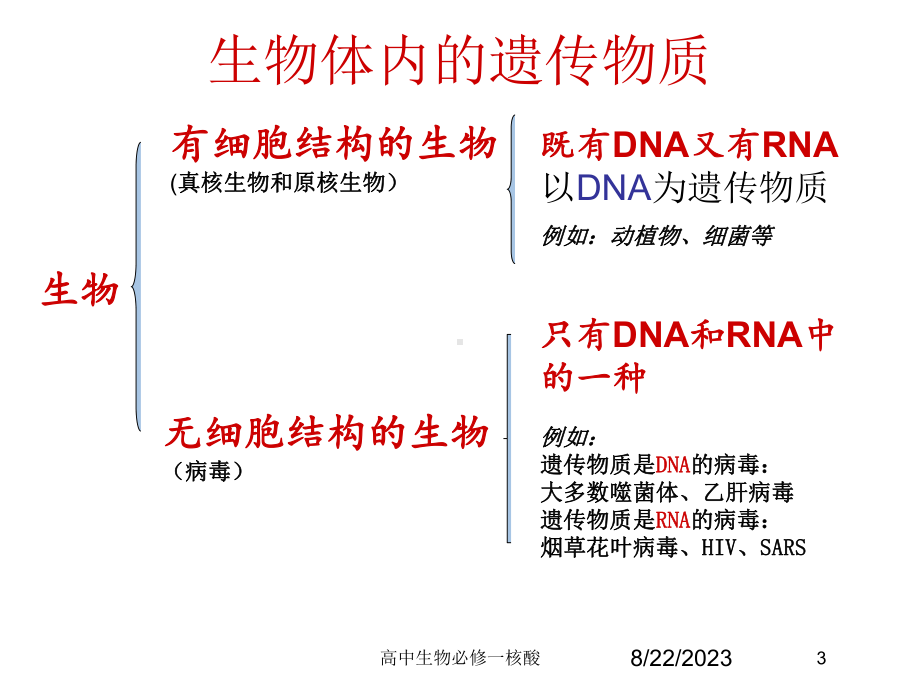 高中生物必修一核酸培训课件.ppt_第3页