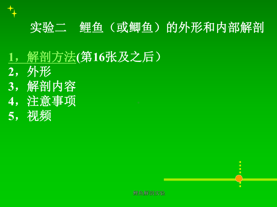 鲤鱼解剖实验-课件.ppt_第1页