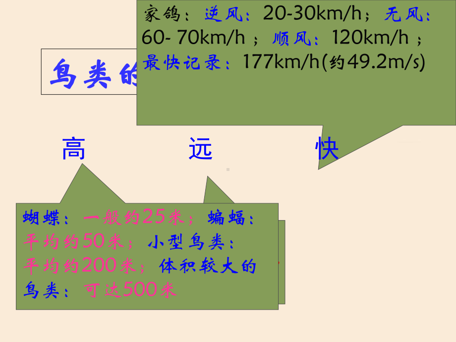 鸟类教学讲解课件.pptx_第2页