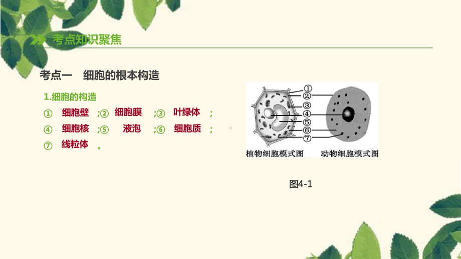 2021年中考生物专题复习二生物体的结构层次第04课时细胞的结构和生活课件新人教版.pptx_第2页