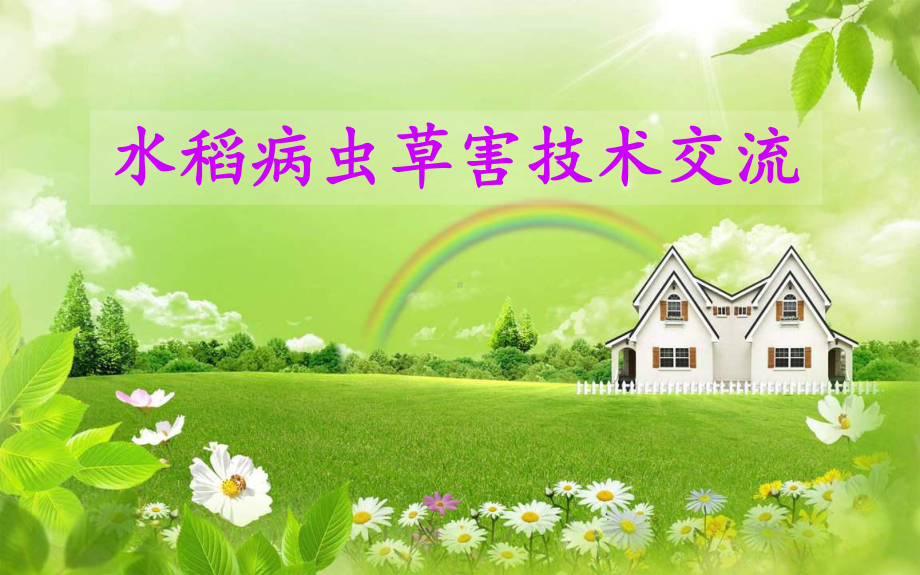 水稻主要病虫草害资料课件.ppt_第1页