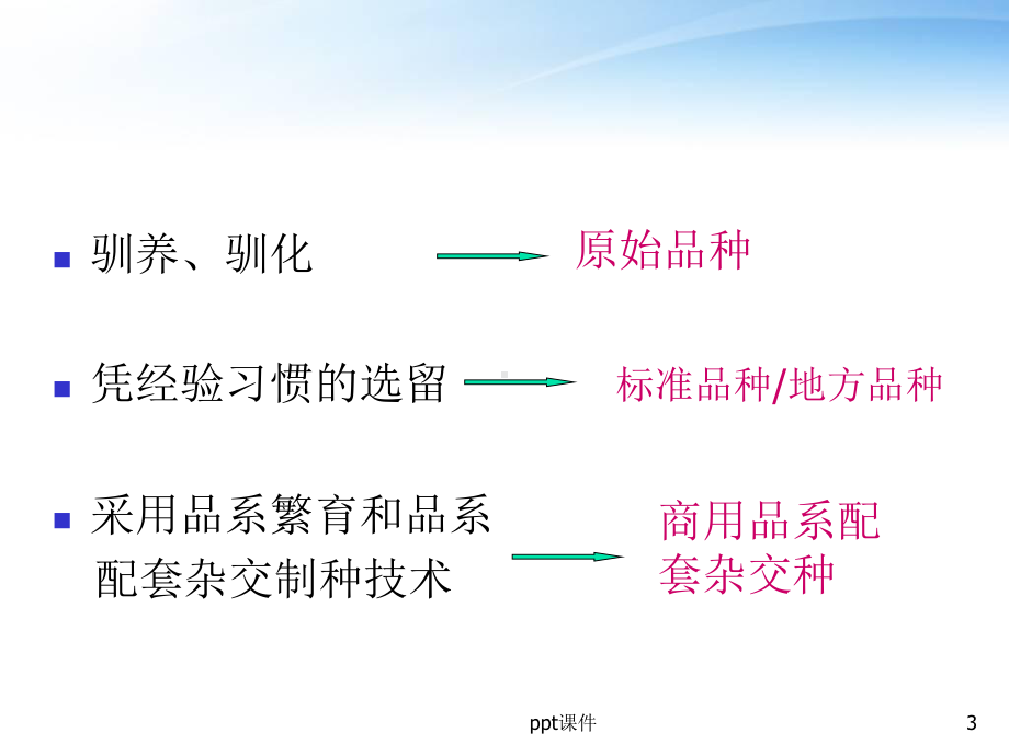 家禽品种和育种-课件.ppt_第3页