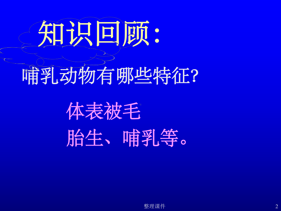 新人教版初中生物八年级上册《空中飞行的动物》课件.ppt_第2页