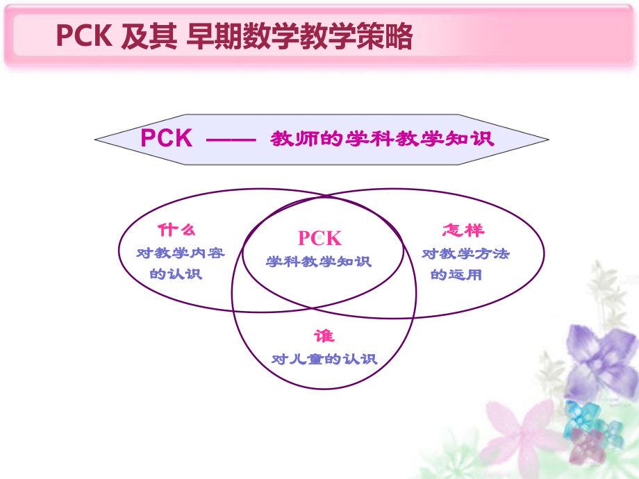 基于PCK建构的数学游戏观察与互动课件.ppt_第2页