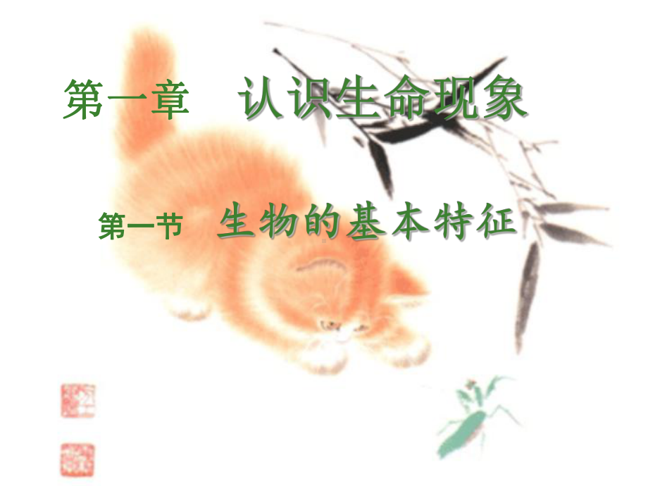 济南版七年级上生物的基本特征课件.ppt_第2页