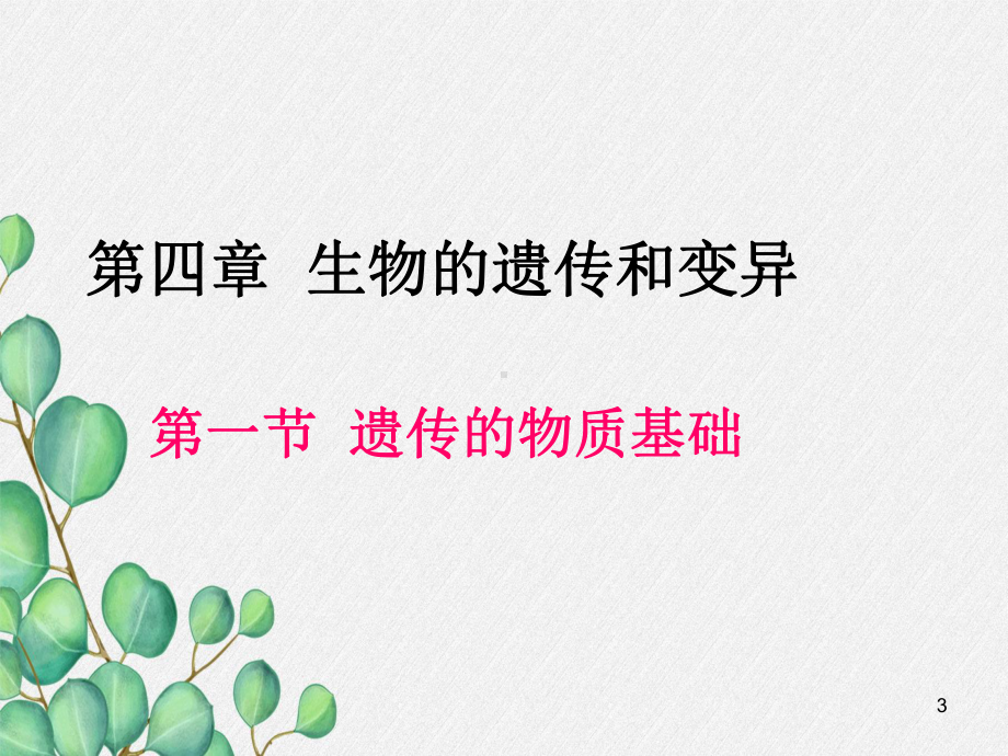 《遗传的物质基础》课件-(公开课获奖)2022年济南版-课件1.ppt_第3页