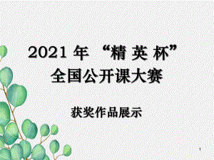 《遗传的物质基础》课件-(公开课获奖)2022年济南版-课件1.ppt