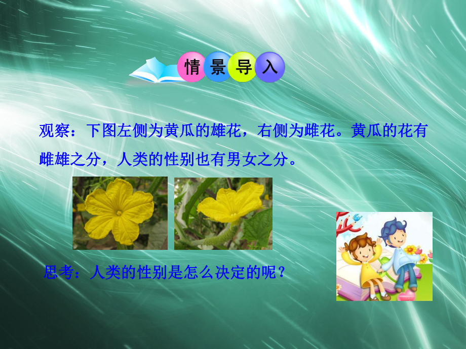 初中生物多媒体教学课件第7单元第2章第4节人的性别遗传人教版八年级下册.ppt_第2页