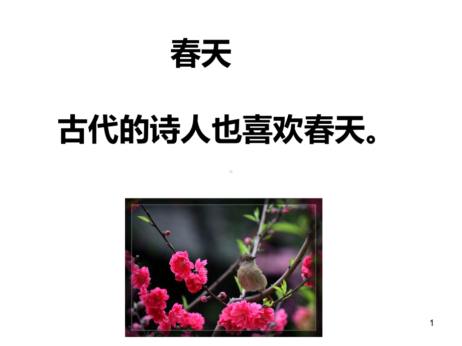 一下语文《4古诗两首》春晓-3课件.ppt_第1页