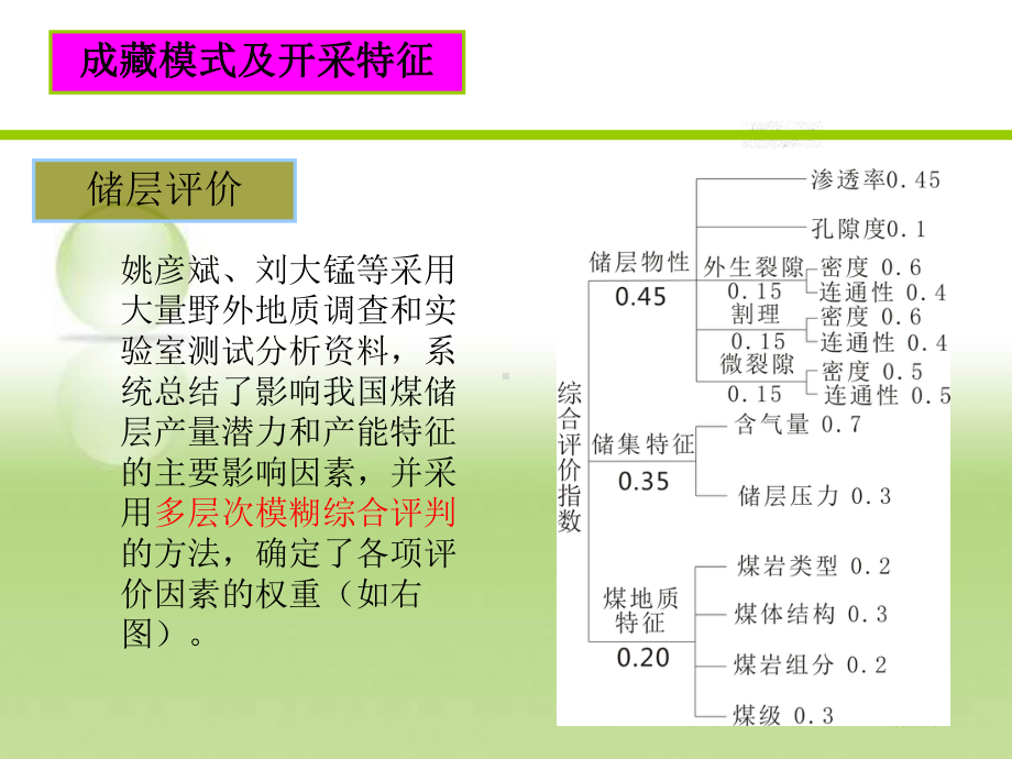 （管理资料）煤层气地质学课件分解汇编.ppt_第3页