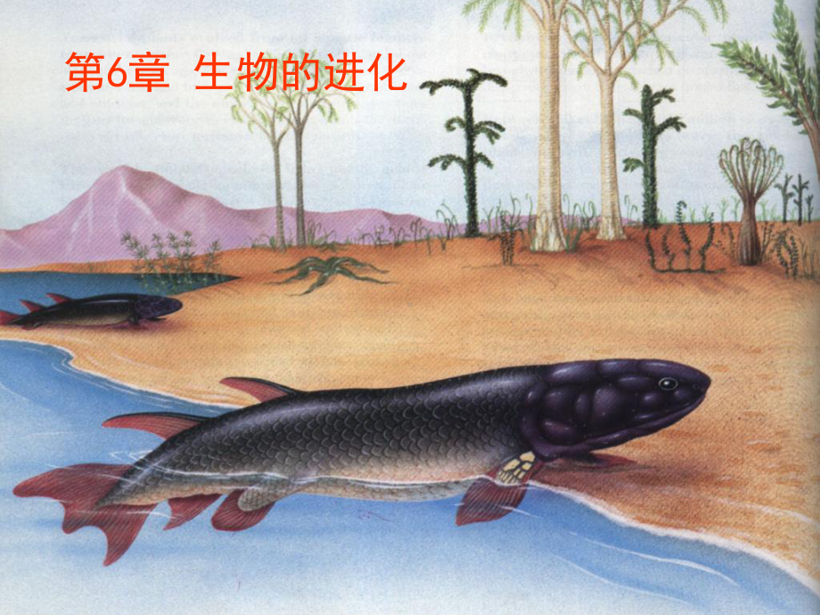 《生物的进化》课件.ppt_第1页