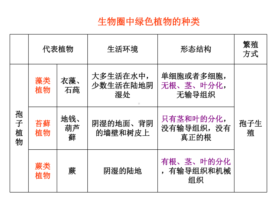 （中考）人教版-生物总复习-考点梳理专题三-生物圈中的绿色植物课件.pptx_第2页