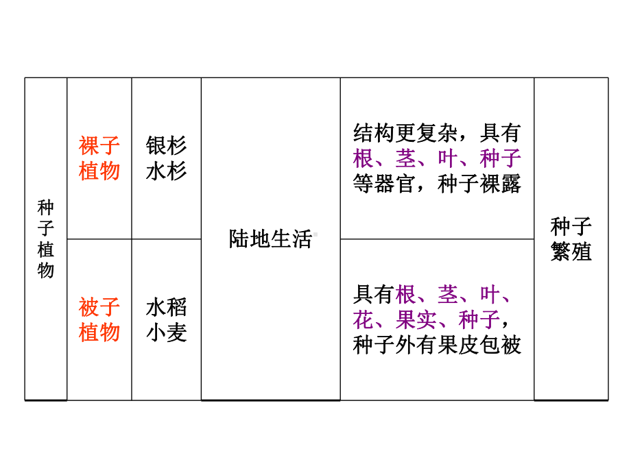 （中考）人教版-生物总复习-考点梳理专题三-生物圈中的绿色植物课件.pptx_第3页