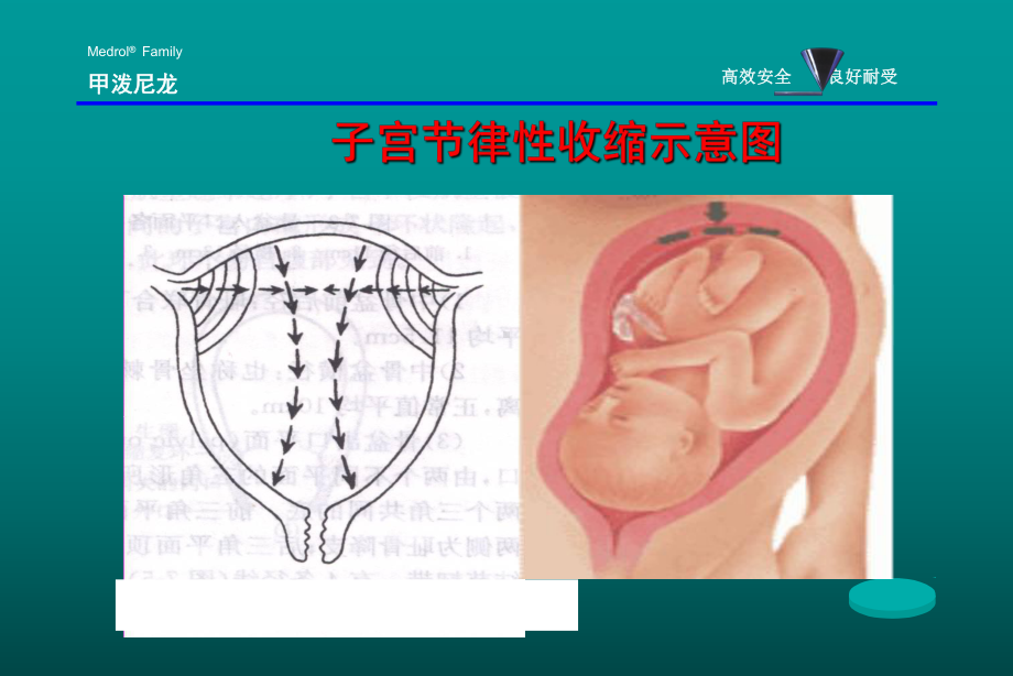 《药理学与药物学治疗基础(中职药剂)》第11章作用于生殖系统概要课件.ppt_第2页