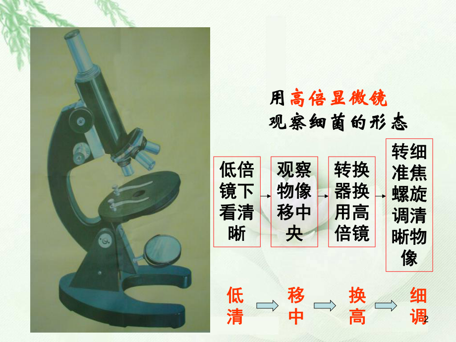 （初中生物课件）细菌.pptx_第2页