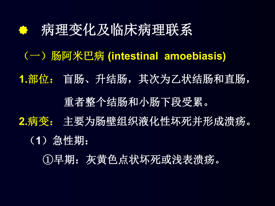 医学阿米巴病-血吸虫病课件.ppt_第3页