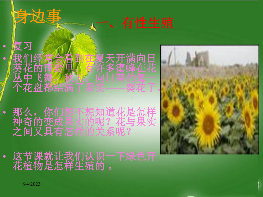 《绿色开花植物的生殖》课件.pptx_第3页