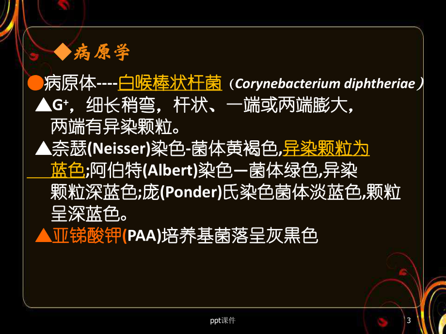 《神经病学》白喉-课件.ppt_第3页