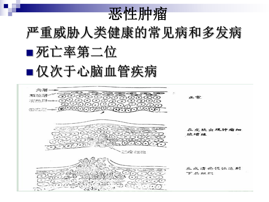 《药物化学基础(中职药剂专业)》第14章-抗肿瘤药课件.ppt_第3页