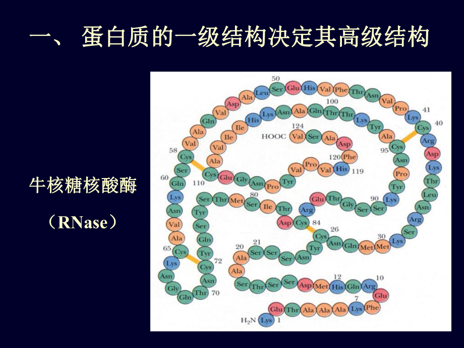 《生化蛋白质化学》课件.ppt_第2页