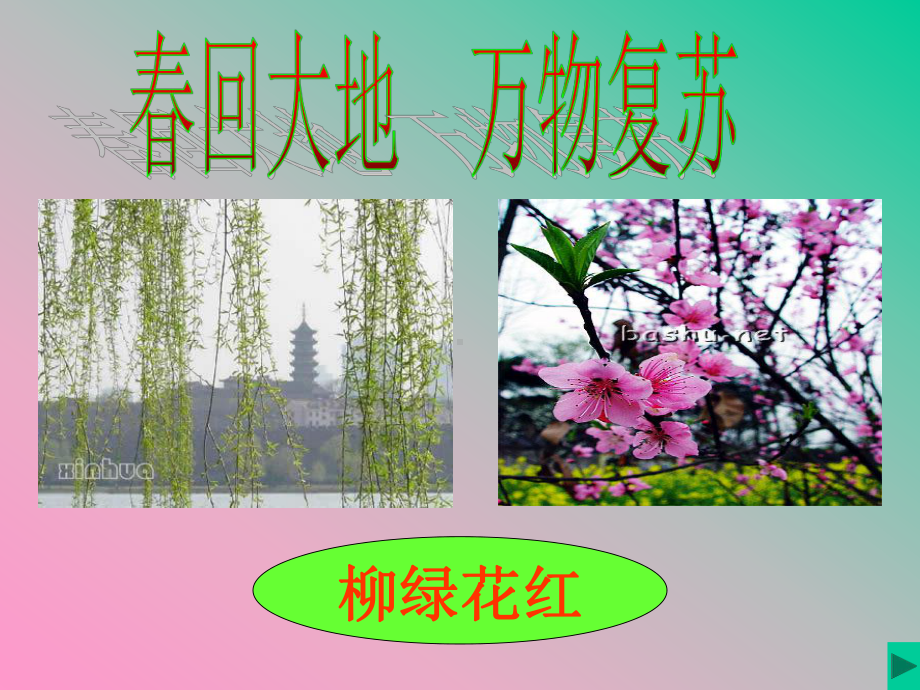 一下2春雨的色彩课件.pptx_第3页