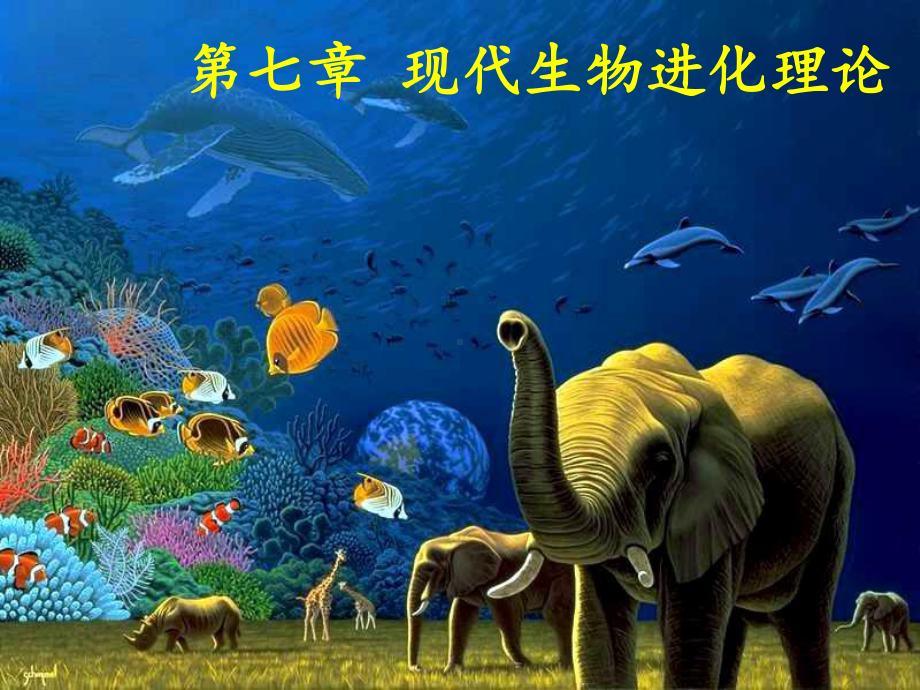 现代生物进化理论一轮复习公开课-课件.ppt_第1页