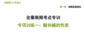 第一章全章高频考点专训专项训练一：酸和碱的性质—浙教版九年级科学上册课件.ppt