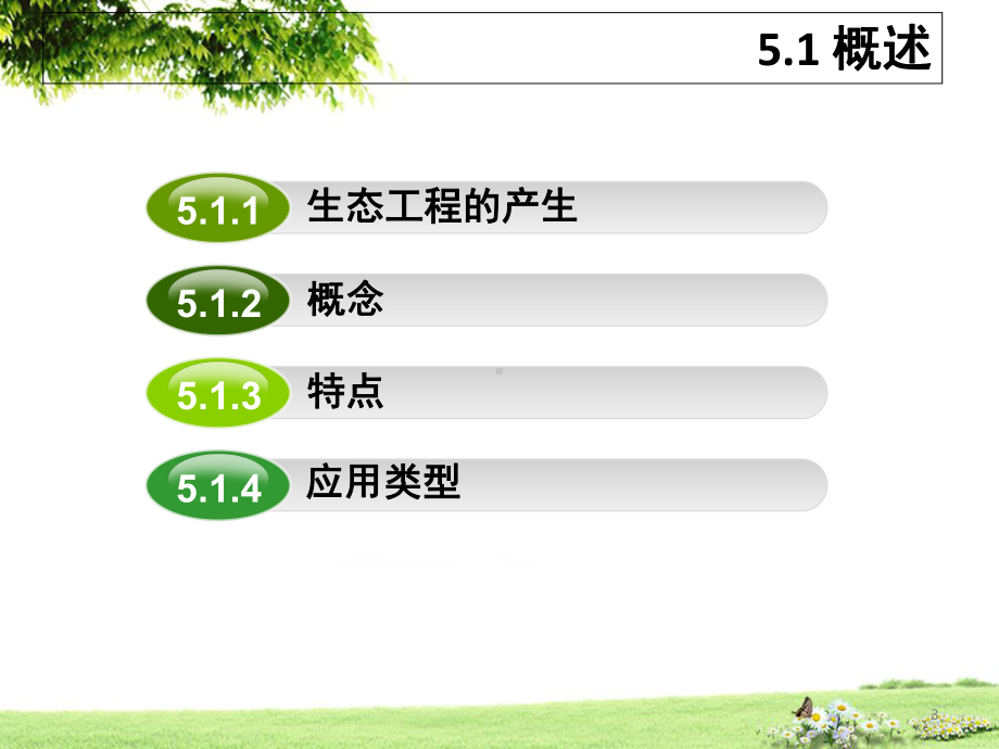 第五章-污染环境修复的生态工程技术(大学)课件.ppt_第3页