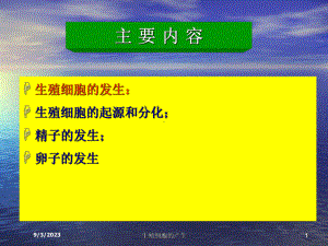 生殖细胞的产生培训课件.ppt