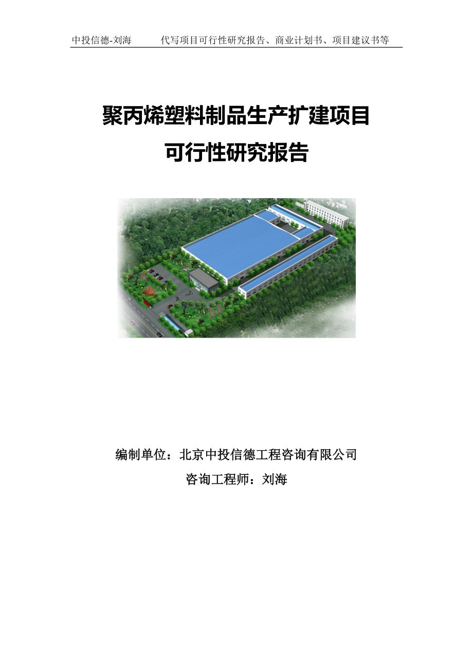 聚丙烯塑料制品生产扩建项目可行性研究报告写作模板-备案拿地.doc_第1页