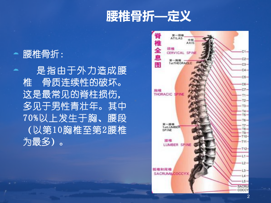 腰椎疾病概述课件.ppt_第2页