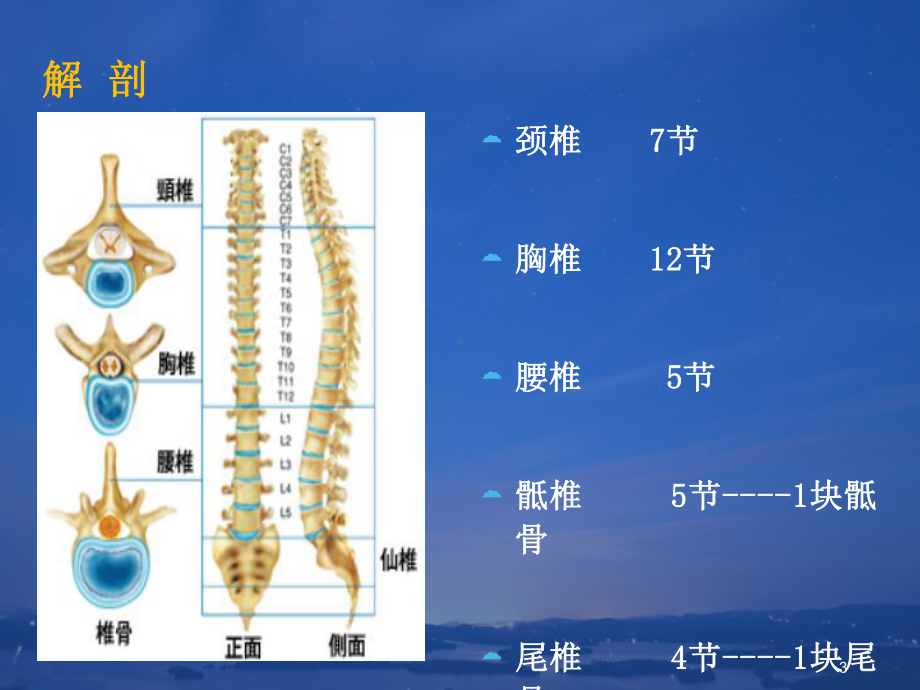 腰椎疾病概述课件.ppt_第3页