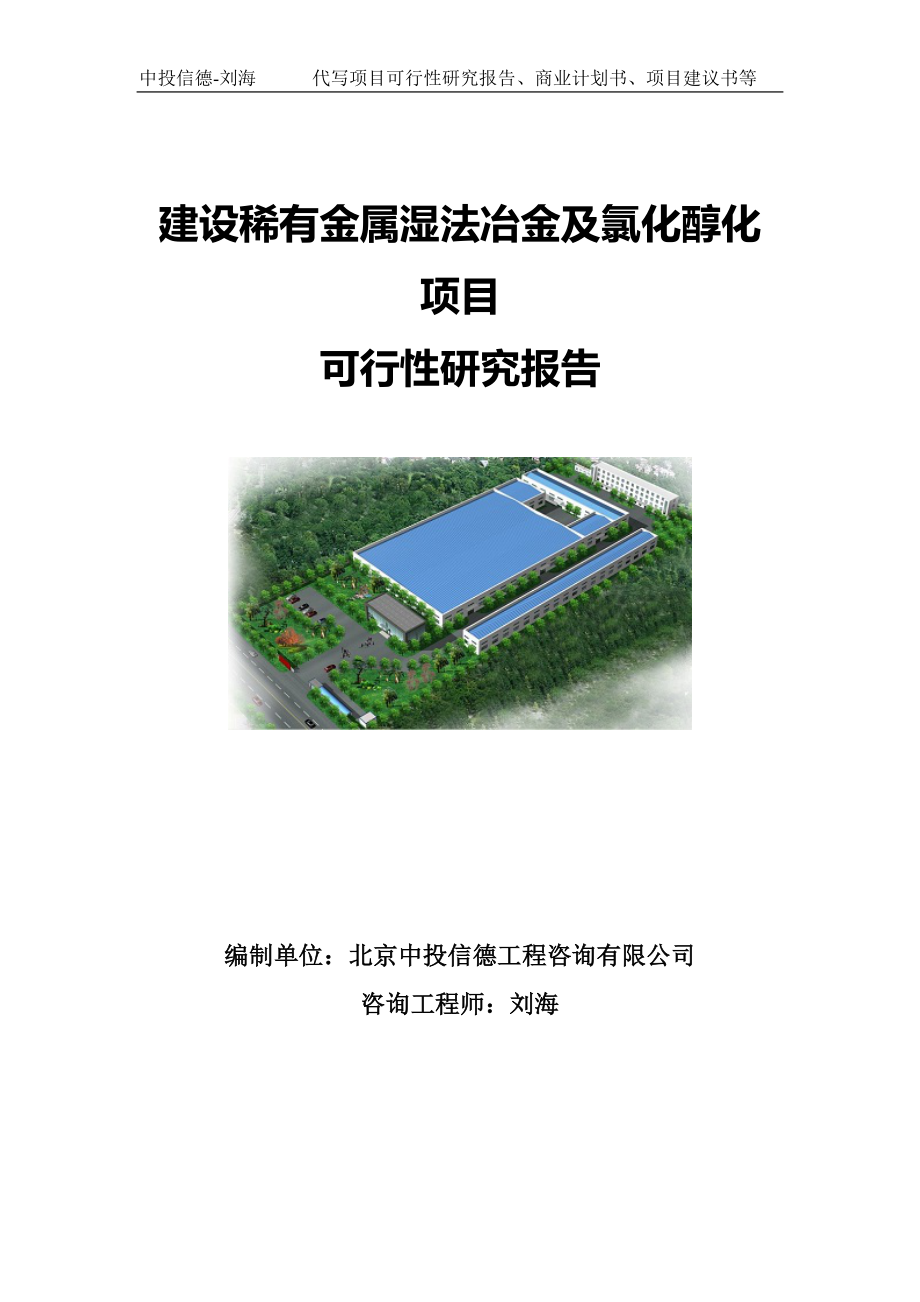 建设稀有金属湿法冶金及氯化醇化项目可行性研究报告写作模板-备案拿地.doc_第1页