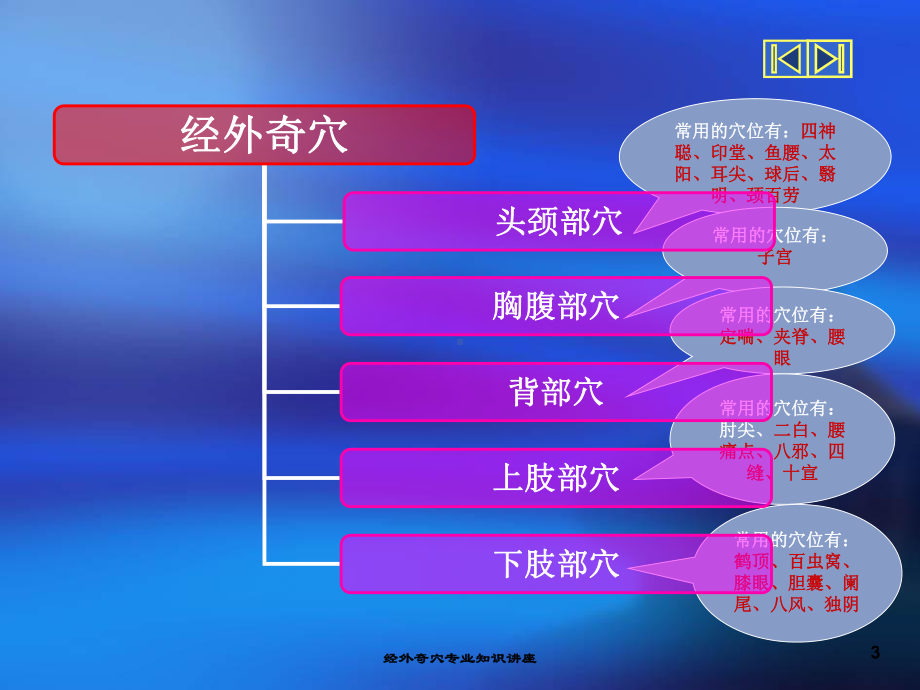 经外奇穴专业知识讲座培训课件.ppt_第3页