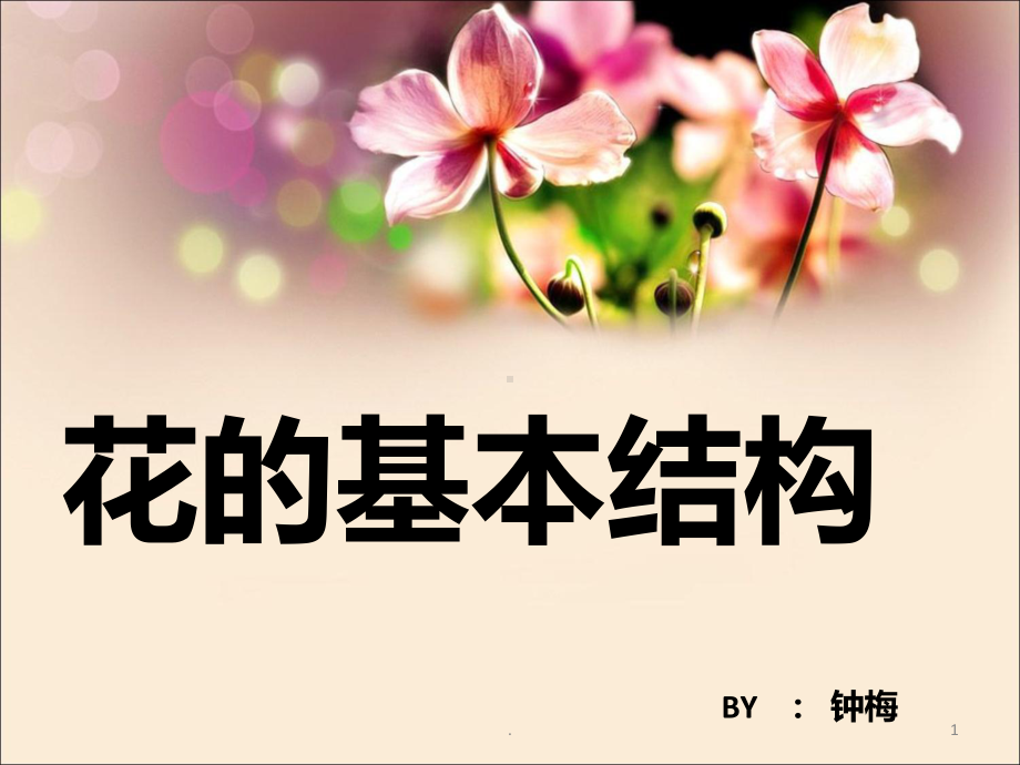 花的基本结构课件.ppt_第1页