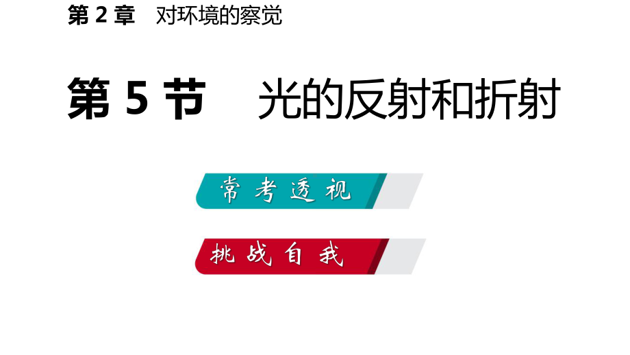 浙教版科学《光的反射和折射》优秀课件2.pptx_第3页