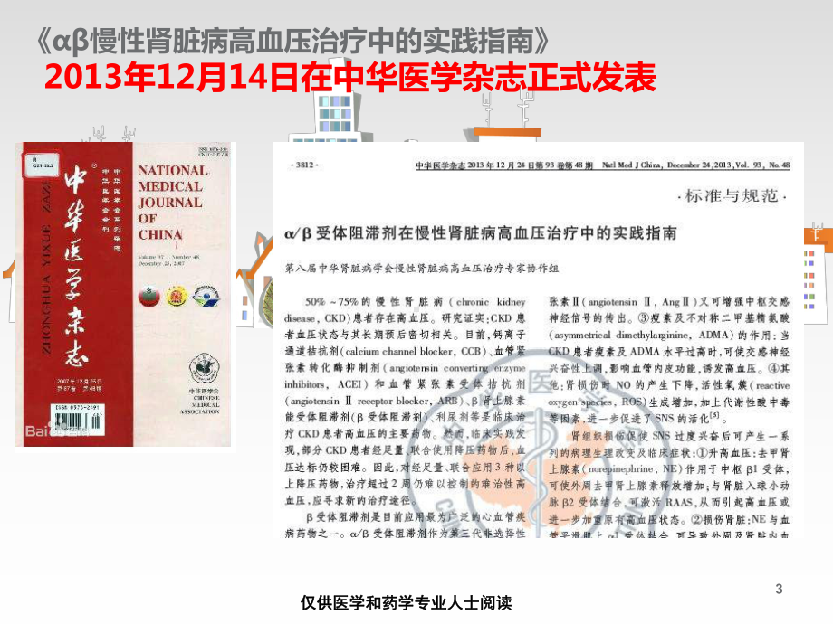 阿尔马尔慢性肾脏病实践指南解读-课件.ppt_第3页