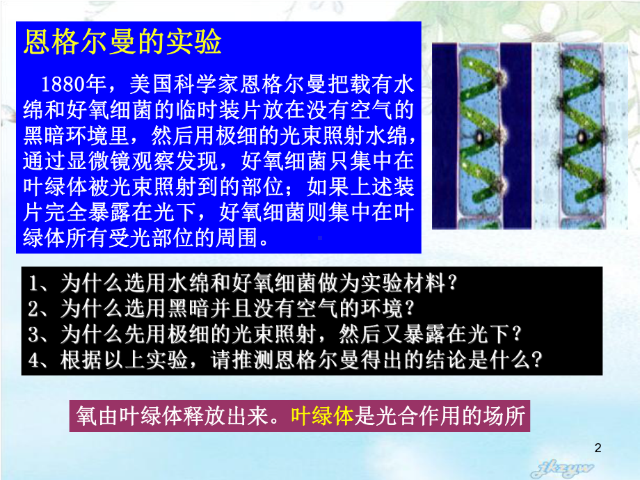 高中生物必修一光合作用课件.ppt_第2页