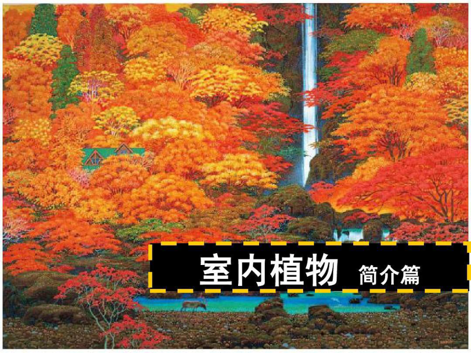 室内植物应用50种.ppt_第2页